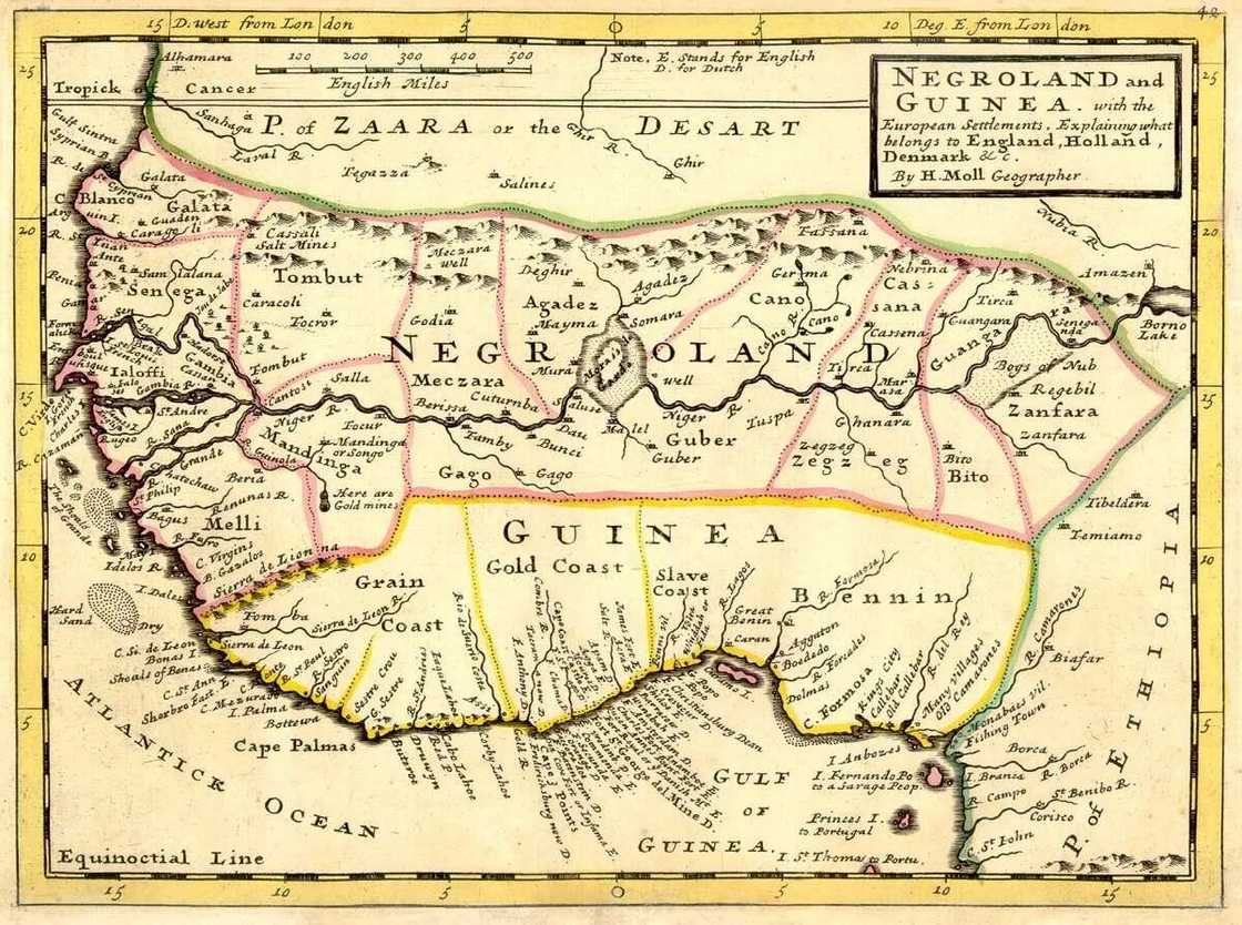 Kingdom of the Guinea cost Kingdom of the Guinea cost
