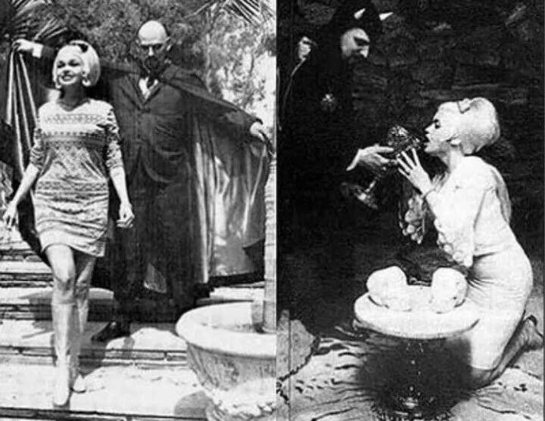 Jayne Mansfield Jayne Mansfield