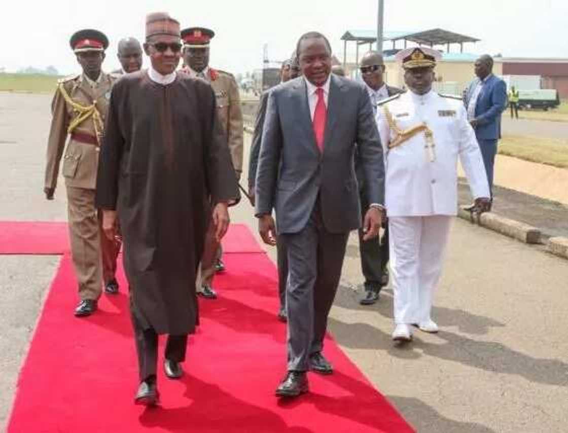 10 feared dead, 30 injured as triple explosions rock Chibok town 10 feared dead, 30 injured as triple explosions rock Chibok town