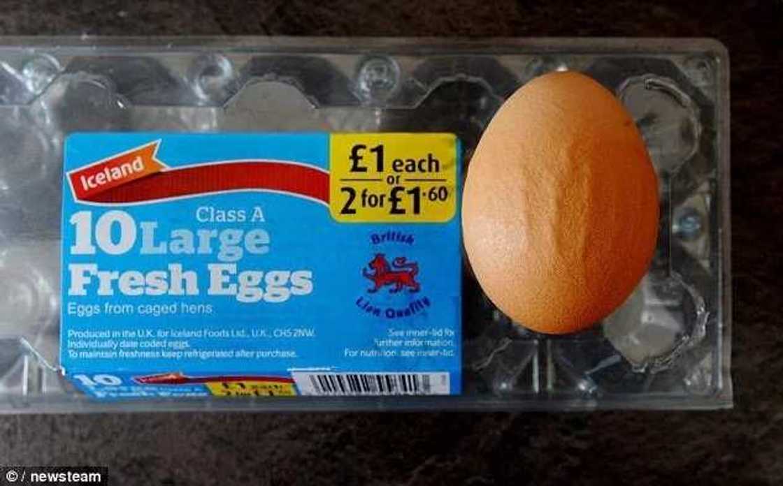 Allah Word Written In Arabic Appears On Egg Shell Allah Word Written In Arabic Appears On Egg Shell