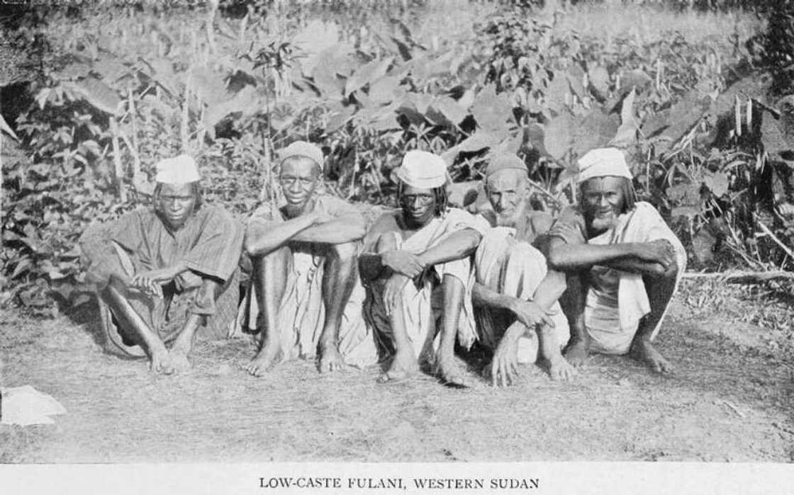 Historical origin of Fulani tribe Historical origin of Fulani tribe