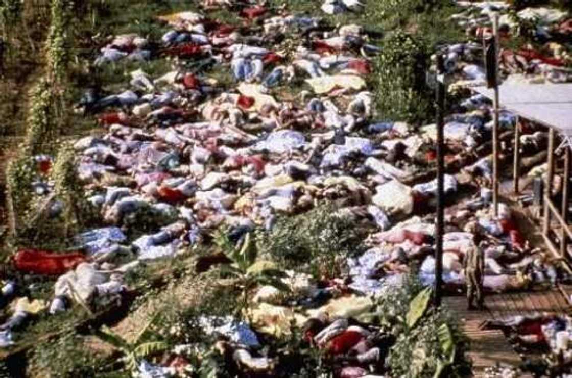 Top 10 dangerous religious cults in the world Top 10 dangerous religious cults in the world