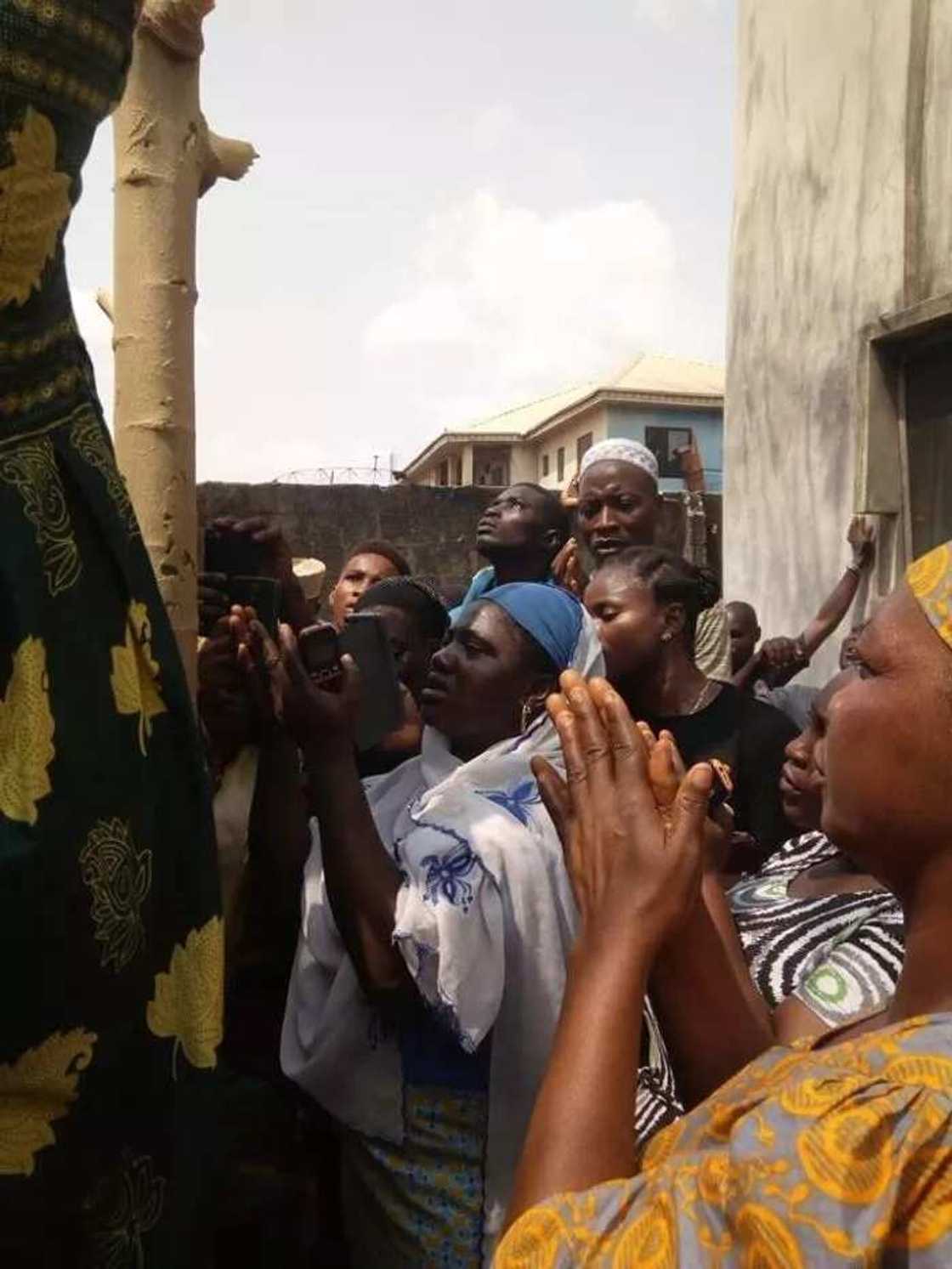 Residents Of Ijegun Screamed After ‘Allahu’ Appears On A Pawpaw Tree (Photos & Video) Residents Of Ijegun Screamed After ‘Allahu’ Appears On A Pawpaw Tree (Photos & Video)