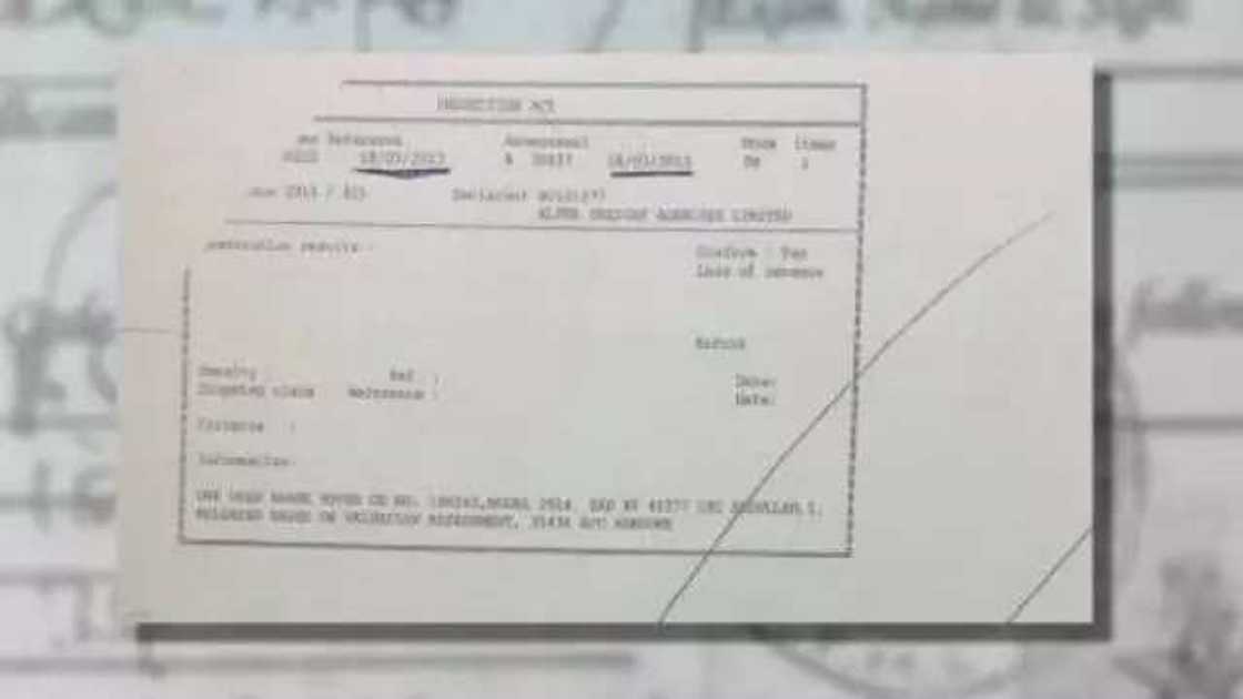 Fake car documents allegedly the cause of war between the senate and Hameed Ali Fake car documents allegedly the cause of war between the senate and Hameed Ali