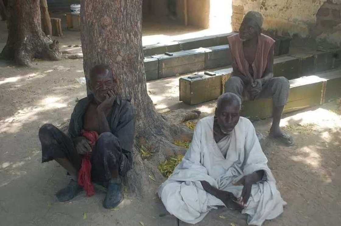 Army Kill 4 B'Haram Members, Rescue 61 Women (PHOTOS) Army Kill 4 B'Haram Members, Rescue 61 Women (PHOTOS)