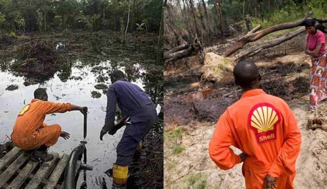 OPINION: How Shell's lies have made life unbearable to the people of Ogoniland OPINION: How Shell's lies have made life unbearable to the people of Ogoniland