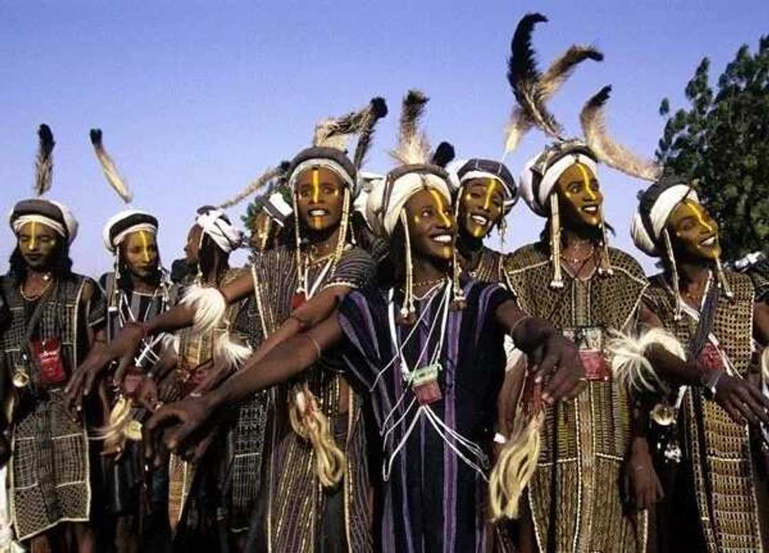 The reasons Fulani herdsmen are powerful The reasons Fulani herdsmen are powerful