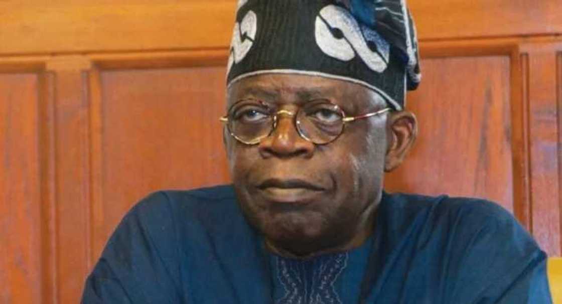You Must Apologize To Me In National Dailies - Tinubu