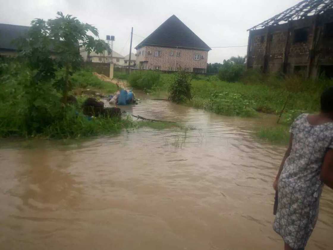 Delta Flood: Sapele resident cries out to Okowa for help