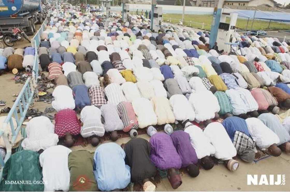 Sallar idi Sallar idi