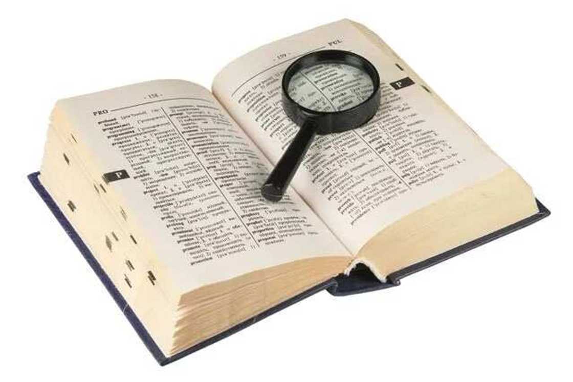 Dictionary Dictionary