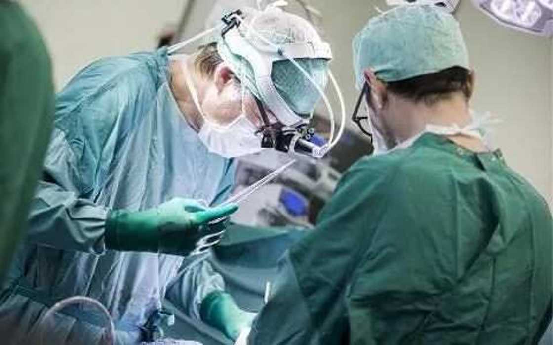 Alamomin ciwon Sankarar Huhu Alamomin ciwon Sankarar Huhu