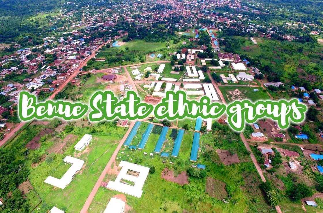 Top ethnic groups in Benue State Top ethnic groups in Benue State