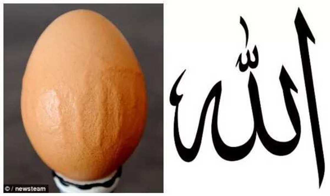 Allah Word Written In Arabic Appears On Egg Shell Allah Word Written In Arabic Appears On Egg Shell