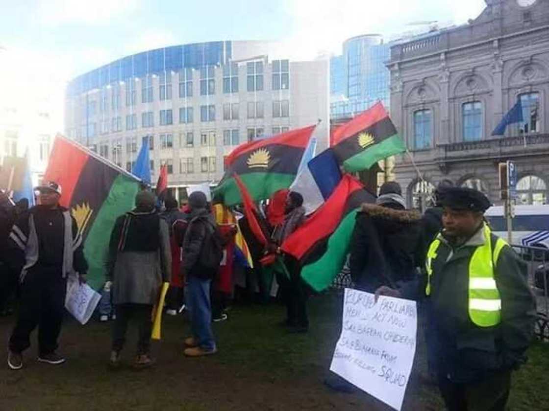 Biafrans across Europe storm EU parliament (photos/video) Biafrans across Europe storm EU parliament (photos/video)