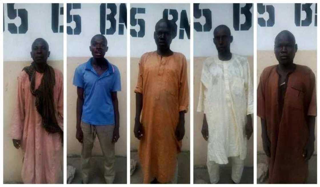 Boko Haram: Mayaka 163 sun mika wuya cikin satin nan