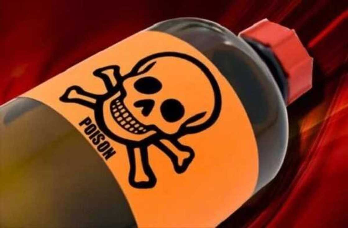 Jihar Jigawa: Uwargida ta zubawa kishiyar ta gubar kashe bera a binci Jihar Jigawa: Uwargida ta zubawa kishiyar ta gubar kashe bera a binci