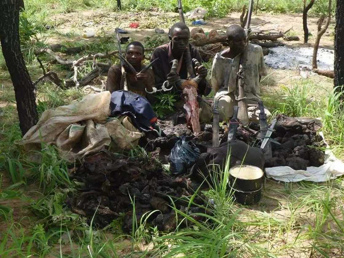 Labari cikin hotuna: Wasu ‘yan farauta sun bakonci gidan kaso a Bauchi Labari cikin hotuna: Wasu ‘yan farauta sun bakonci gidan kaso a Bauchi