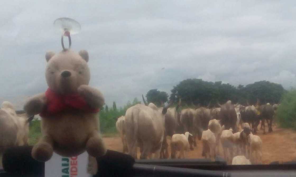 Reporter's diary of Aderonke Bello: Journey to the unknown, to unearth the culture of twins killing in the FCT Reporter's diary of Aderonke Bello: Journey to the unknown, to unearth the culture of twins killing in the FCT