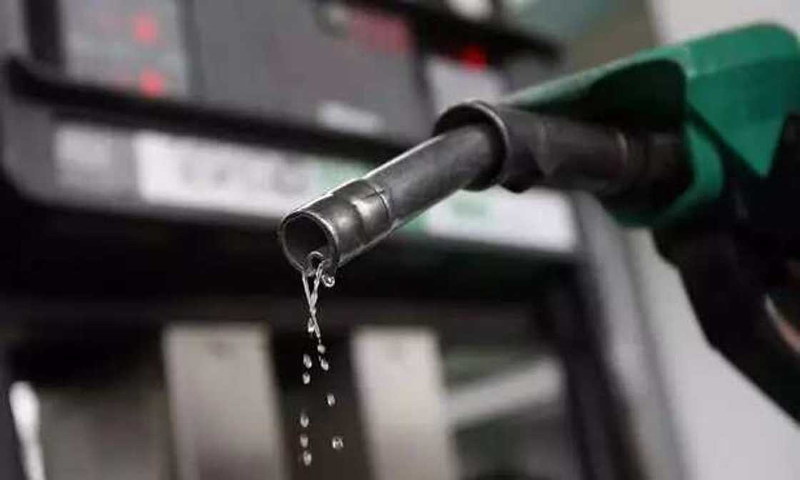 2023 Election: Obi, Tinubu and Atiku speak on plans for exchange rate, fuel subsidy, electricity, others 2023 Election: Obi, Tinubu and Atiku speak on plans for exchange rate, fuel subsidy, electricity, others