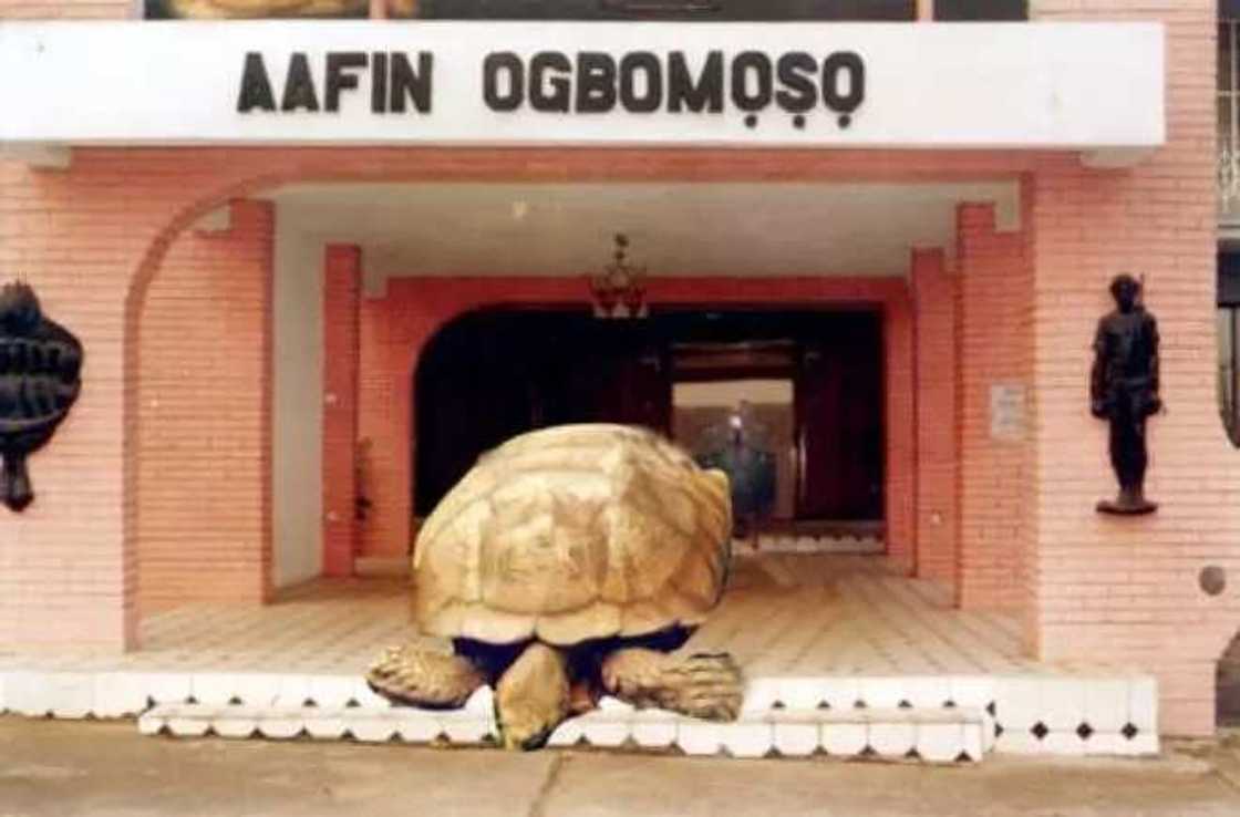 Nigeria state Nigeria state