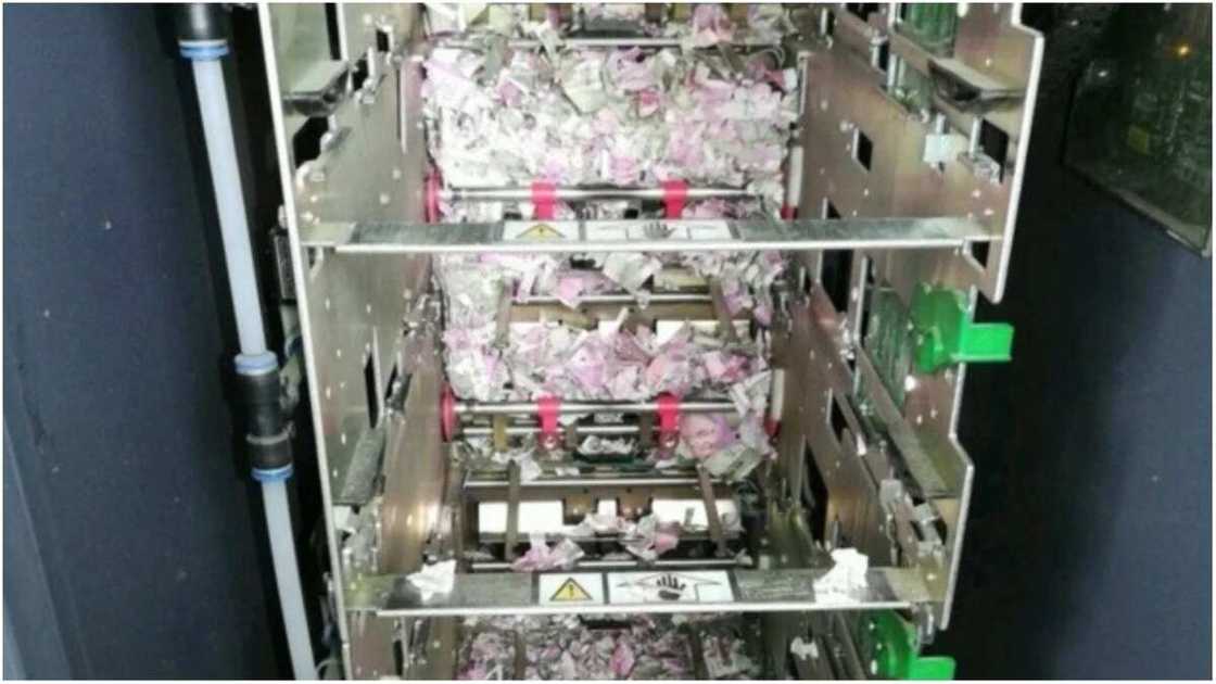 Rats reportedly ate N17m banknotes Rats reportedly ate N17m banknotes