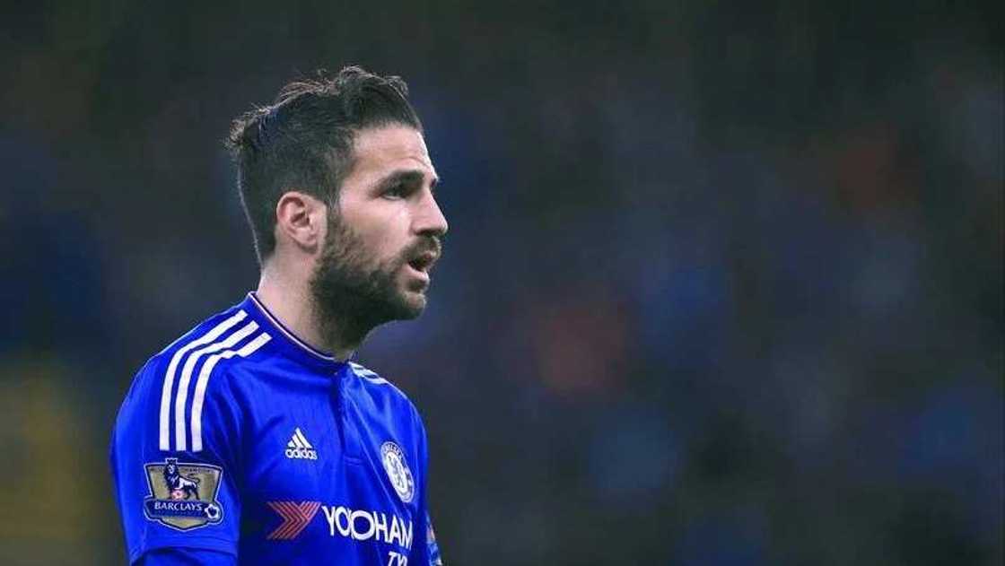 Fans hail Cesc Fabregas assist record after dominating performance against Middlesbrough Fans hail Cesc Fabregas assist record after dominating performance against Middlesbrough