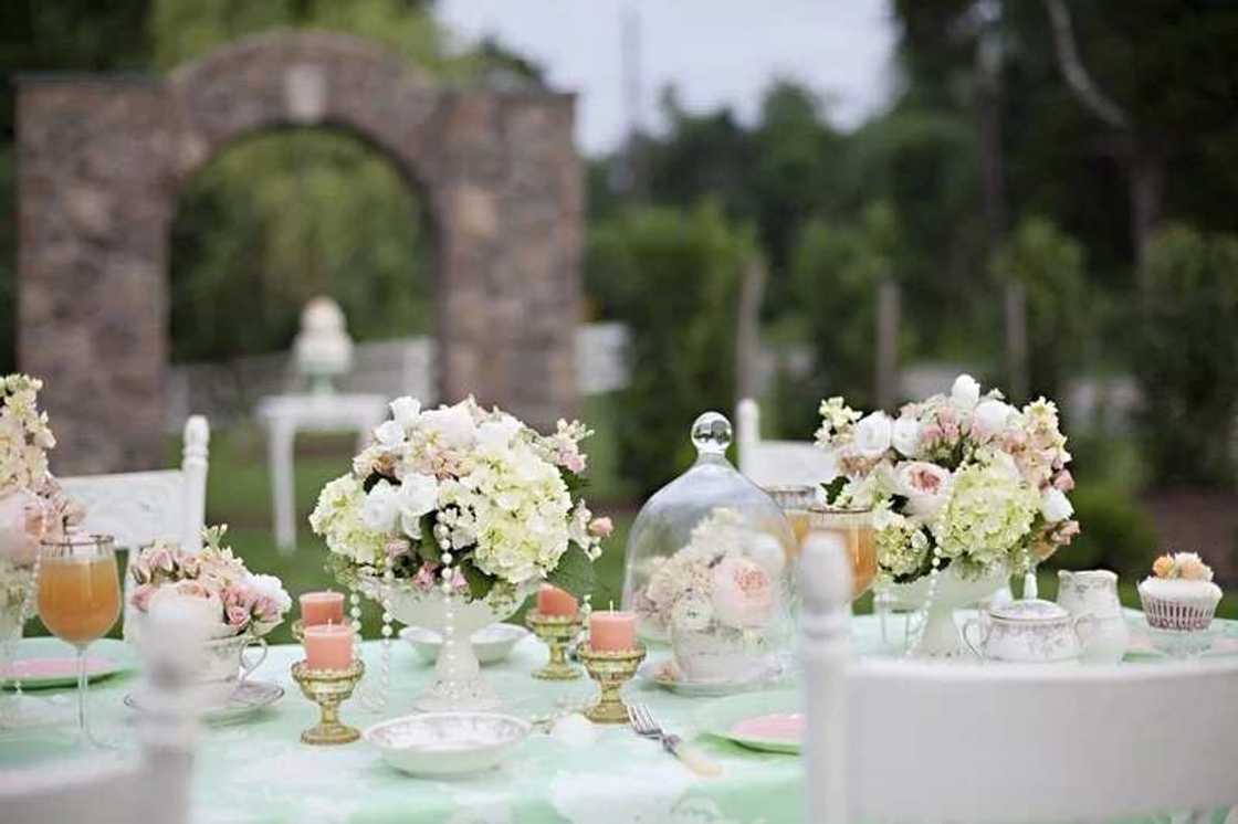 peach and mint peach and mint