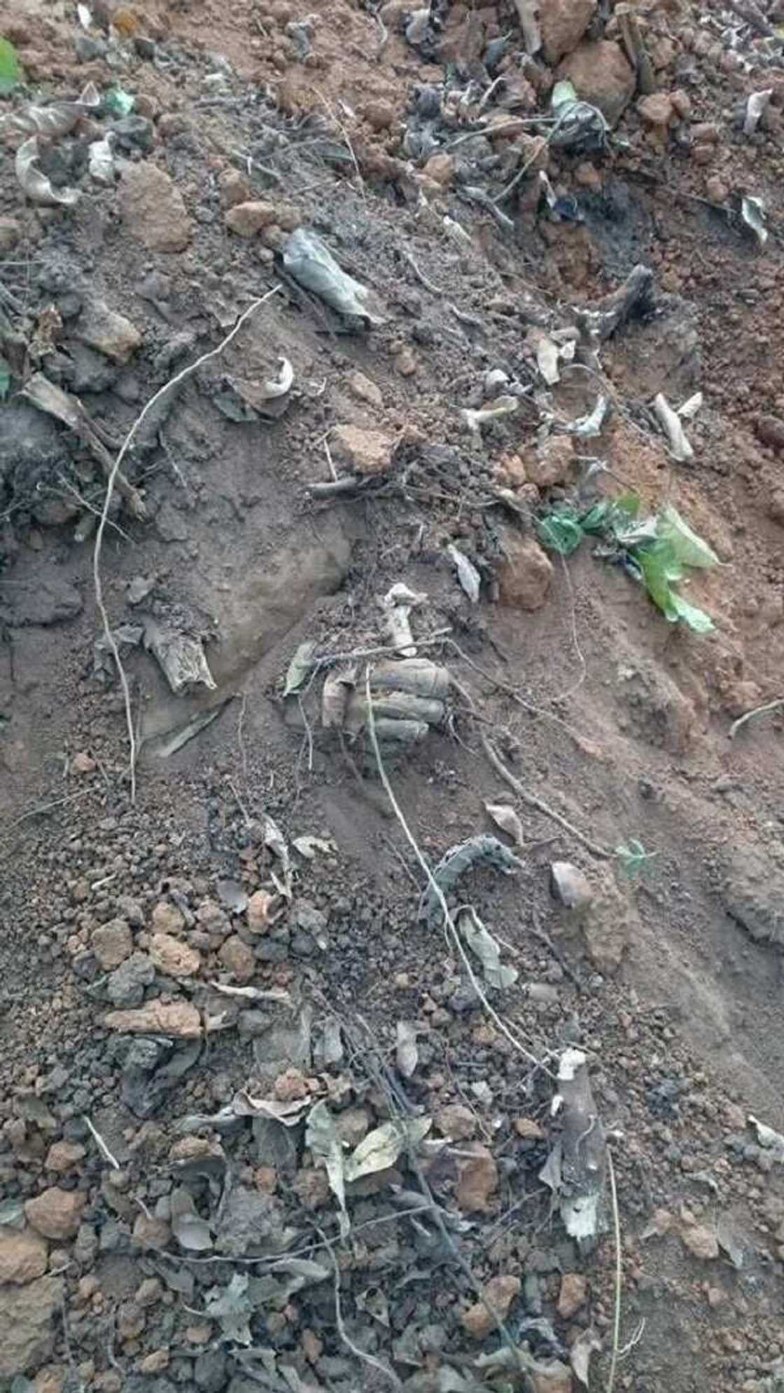 Imota Cemetery of horror Imota Cemetery of horror