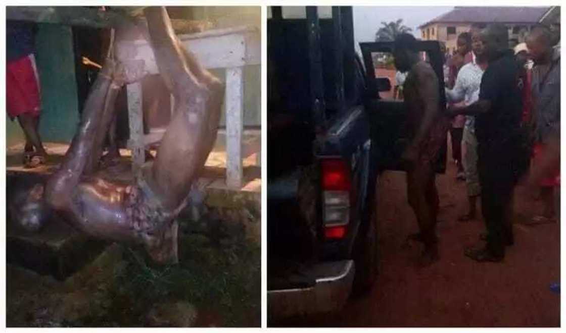 Barawao ya yaba ma aya zaki a hannun jama’a Barawao ya yaba ma aya zaki a hannun jama’a