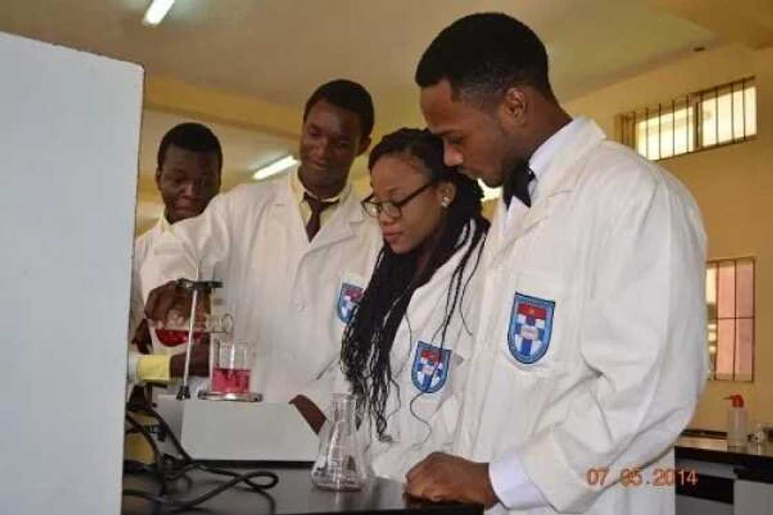 Students in a Laboratory Students in a Laboratory