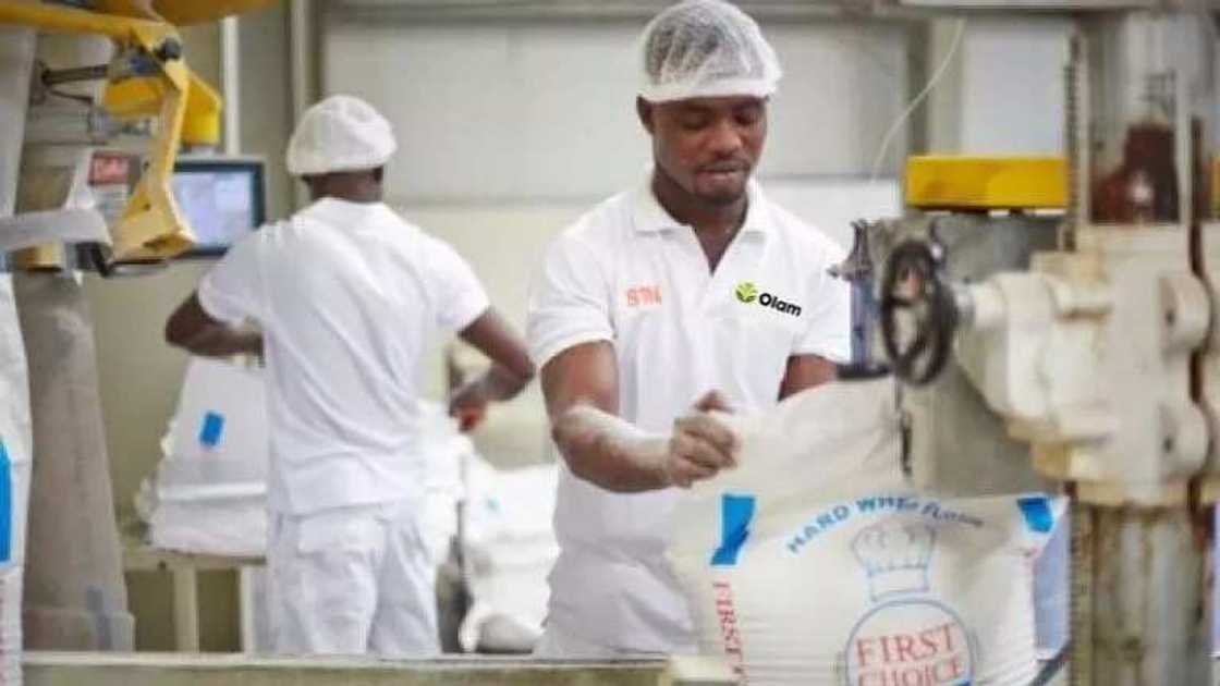 Olam Nigeria salary structure Olam Nigeria salary structure