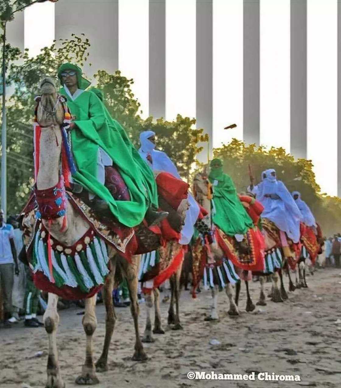 Masarautar Shehun Borno ta gudanar da wani tsadadden hawa (hotuna)