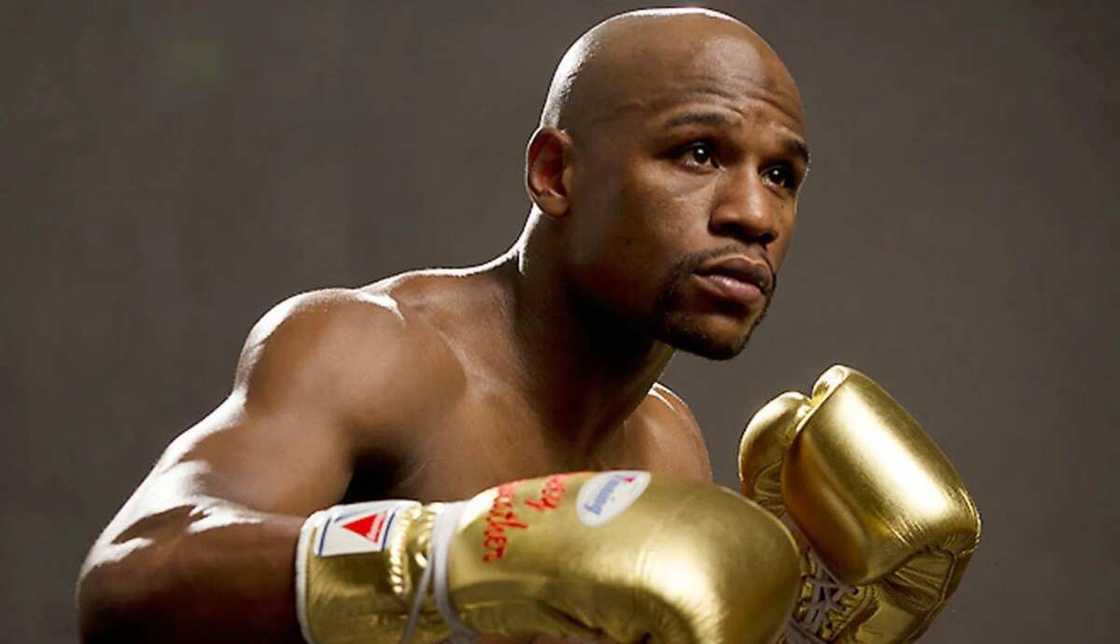 Floyd Mayweather Floyd Mayweather