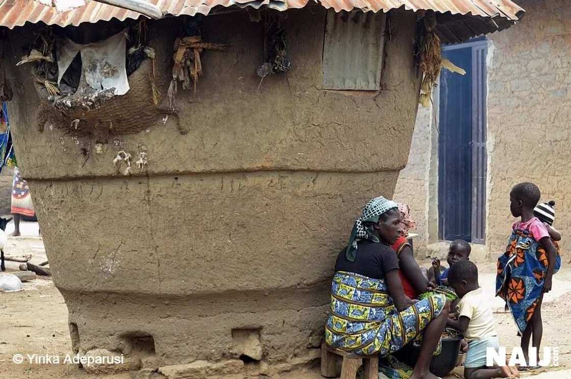 Yan bindiga sun kashe wani dattijo mai shekaru 50 da dansa a Sokoto