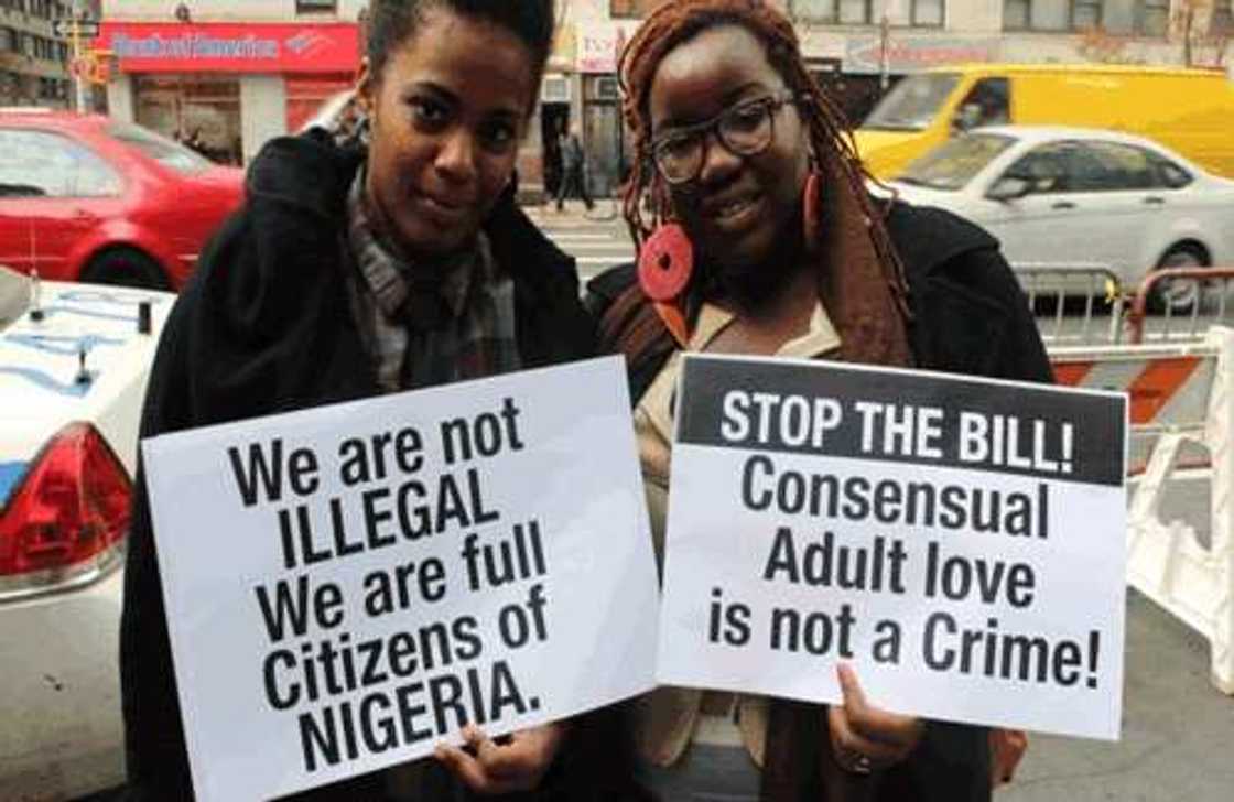 Group Urges Buhari To Cancel Anti-Gay Law Group Urges Buhari To Cancel Anti-Gay Law