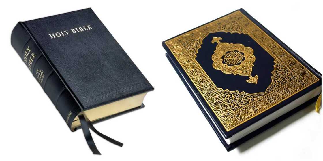 7 Bible and Quran verses that say the same thing 7 Bible and Quran verses that say the same thing
