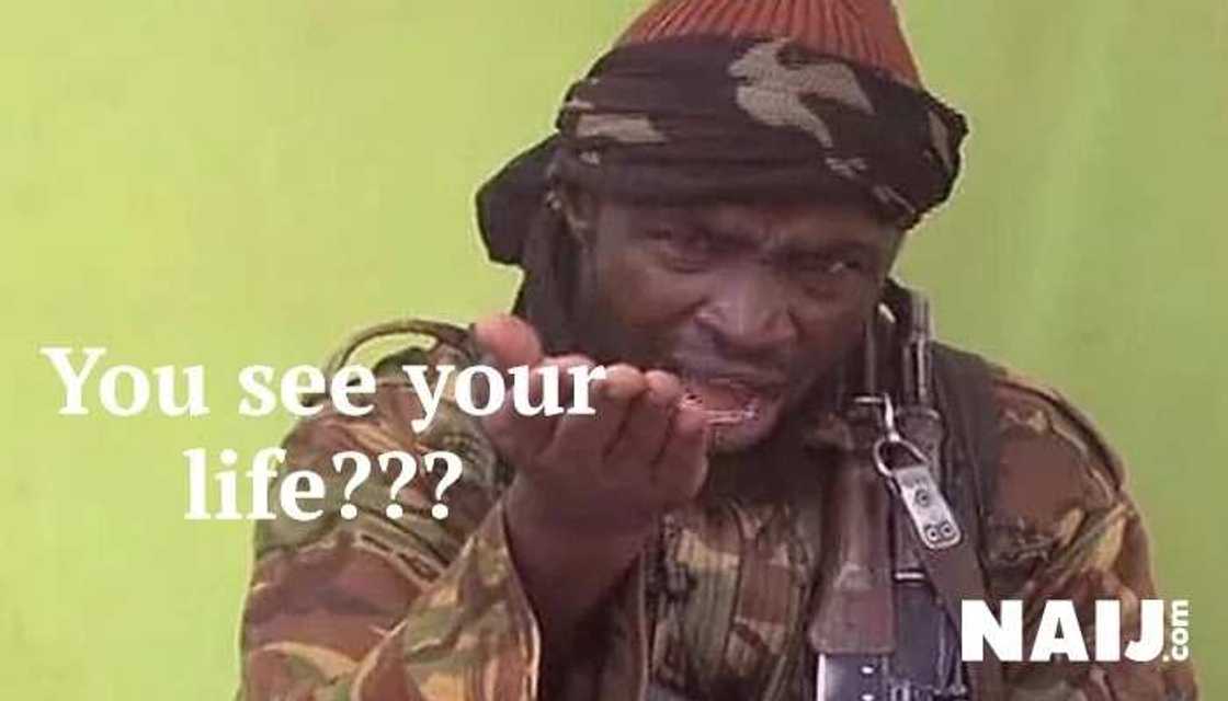 Controversial death: 5 times BH leader Shekau has been killed Controversial death: 5 times BH leader Shekau has been killed