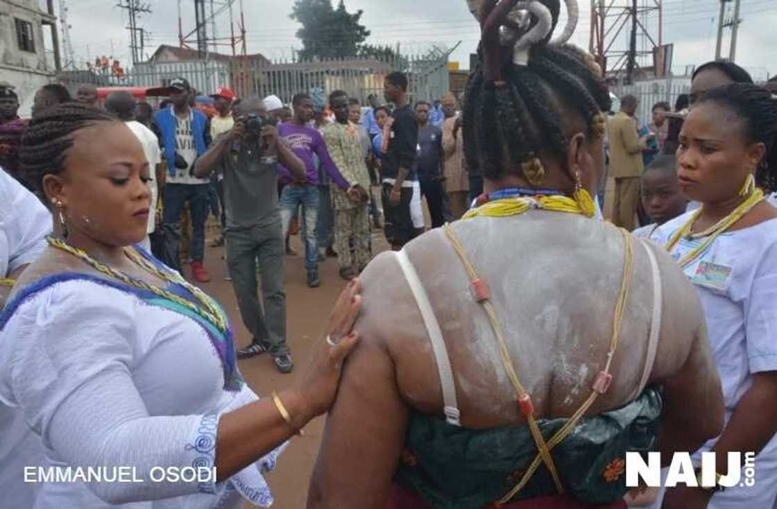 Arugba appears as Osun Osogbo Festival hots up Arugba appears as Osun Osogbo Festival hots up