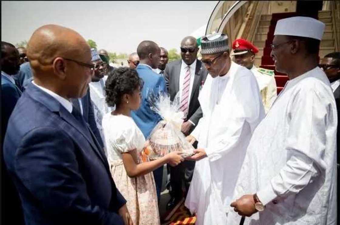 President Buhari Returns From Trip To Niger, Chad President Buhari Returns From Trip To Niger, Chad