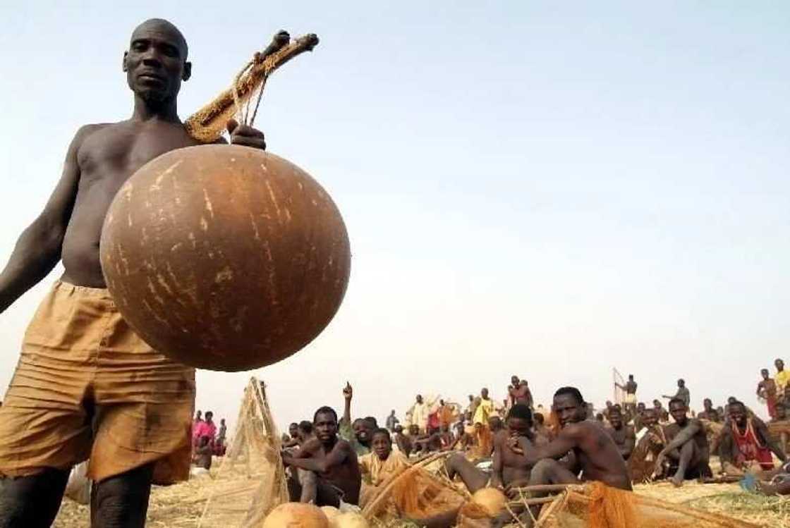 Argungu fishing festival Argungu fishing festival