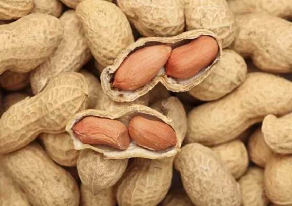 benefits of groundnut