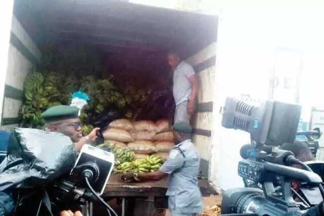 Kwastam sun kwace buhuhunan shinkafa 200 da aka boye karkashin sinkin ayaba Kwastam sun kwace buhuhunan shinkafa 200 da aka boye karkashin sinkin ayaba