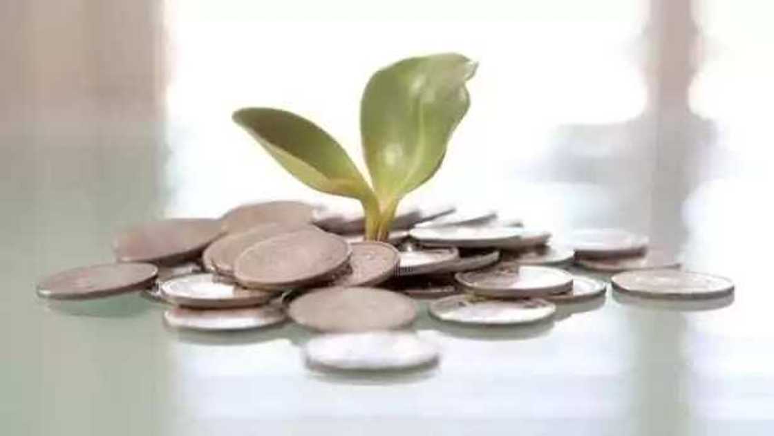 Importance of entrepreneurship in developing countries: capital development Importance of entrepreneurship in developing countries: capital development