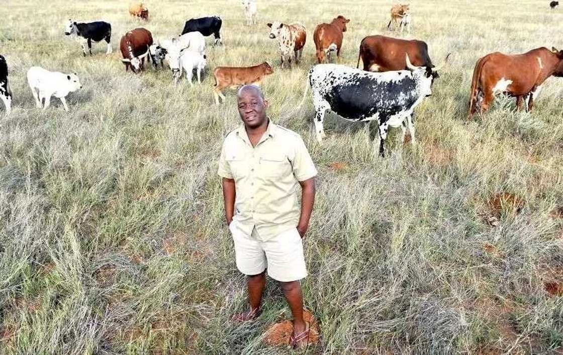 Meet Mo Molemi, the rapper who gave up music to start farming Meet Mo Molemi, the rapper who gave up music to start farming