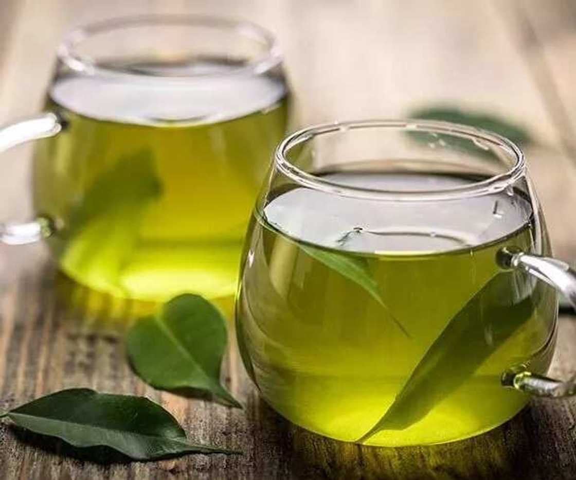 green soursop leaves tea green soursop leaves tea