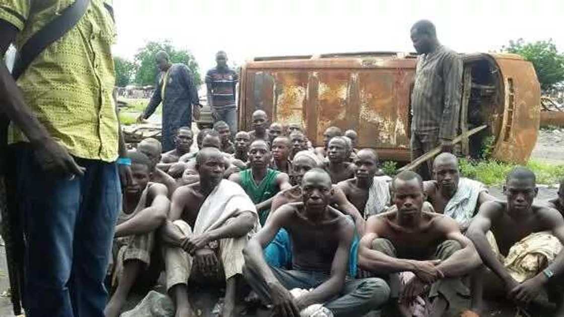 76 starving Boko Haram terrorists surrender to Nigerian troops 76 starving Boko Haram terrorists surrender to Nigerian troops
