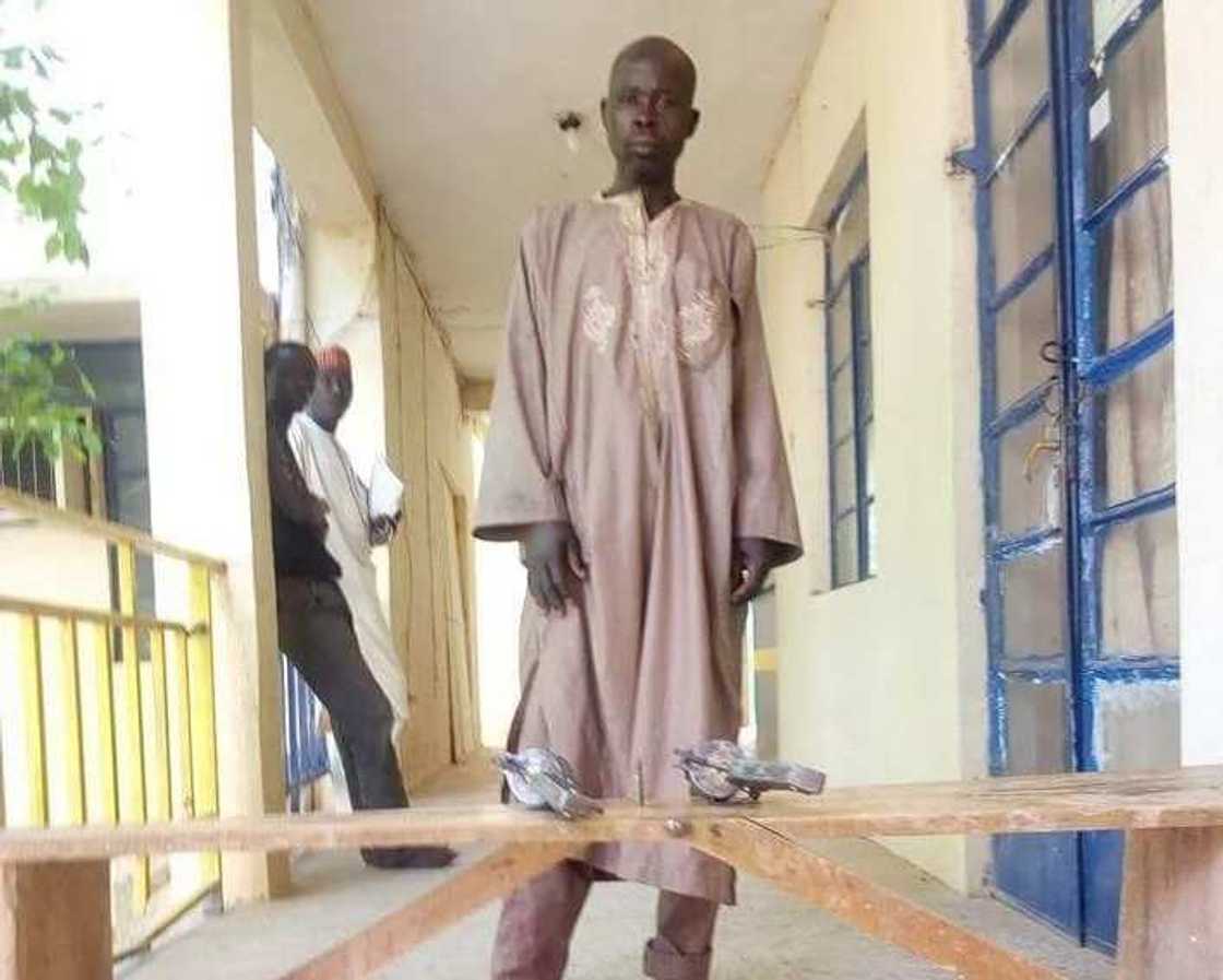 An damke wani dalilan bingida mai shekaru 5 a jihar Katsina An damke wani dalilan bingida mai shekaru 5 a jihar Katsina