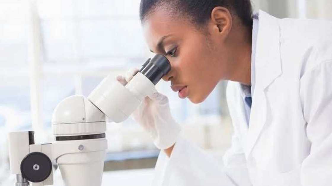 Woman doing research Woman doing research