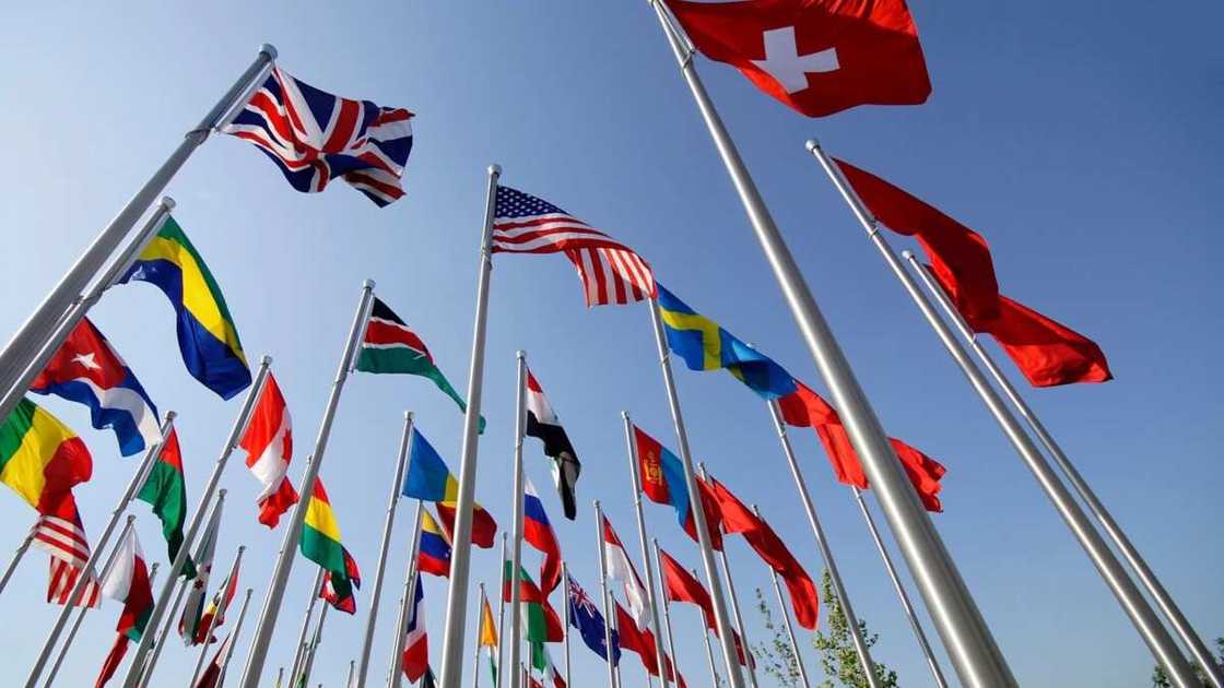 Types of diplomacy Types of diplomacy